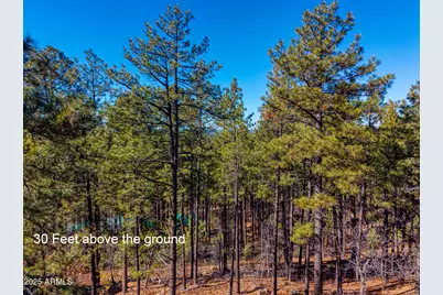 2189 Creekside Court #19, Pinetop, AZ 85935 - Photo 14