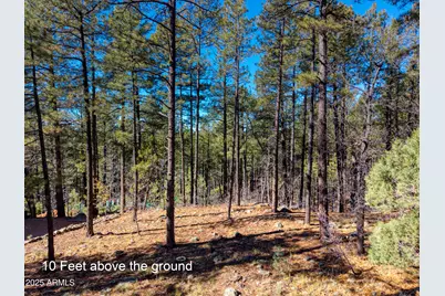 2189 Creekside Court #19, Pinetop, AZ 85935 - Photo 12