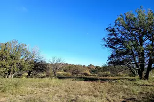 11699 N Last Chance Rd, Elfrida, AZ 85610 - Photo 16