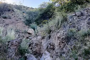 11699 N Last Chance Rd, Elfrida, AZ 85610 - Photo 28