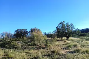 11699 N Last Chance Rd, Elfrida, AZ 85610 - Photo 34