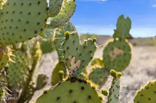12220 S Caballo Terrace, Mayer, AZ 86333 - Photo 22