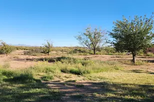 4901 W Churella Trail, Double Adobe, AZ 85617 - Photo 50