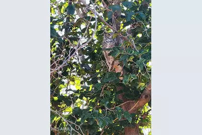 4901 W Churella Trail, Double Adobe, AZ 85617 - Photo 36