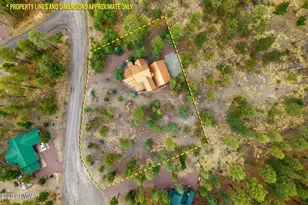 17 County Road 2195 --, Alpine, AZ 85920 - Photo 6