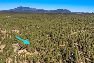 2082 William Palmer, Flagstaff, AZ 86005 - Photo 4