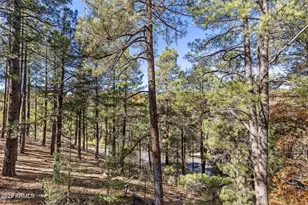 2082 William Palmer, Flagstaff, AZ 86005 - Photo 58