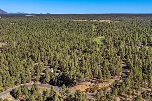 2082 William Palmer, Flagstaff, AZ 86005 - Photo 52