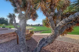 13611 W Via Tercero --, Sun City West, AZ 85375 - Photo 26