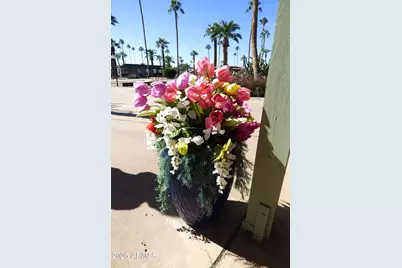 6700 E Thomas Road #34, Scottsdale, AZ 85251 - Photo 62