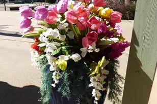 6700 E Thomas Rd, Scottsdale, AZ 85251 - Photo 62