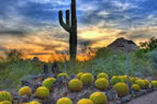 6700 E Thomas Rd, Scottsdale, AZ 85251 - Photo 68