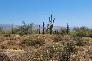 17Xxx E Gloria Ln, Rio Verde, AZ 85263 - Photo 1