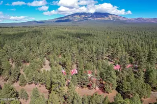 4020 Hidden Hollow Rd, Flagstaff, AZ 86001 - Photo 28