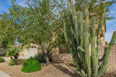 342 E Seven Seas Drive, Casa Grande, AZ 85122 - Photo 6