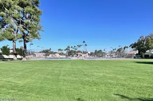 11037 N 50th St, Scottsdale, AZ 85254 - Photo 58