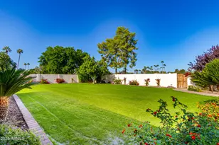 11037 N 50th St, Scottsdale, AZ 85254 - Photo 50