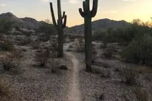 17502 W Arroyo Way, Goodyear, AZ 85338 - Photo 82