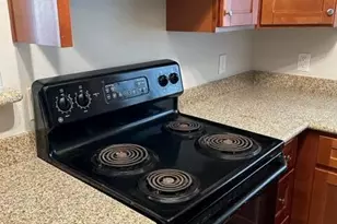 9832 E La Palma Ave, Gold Canyon, AZ 85118 - Photo 12