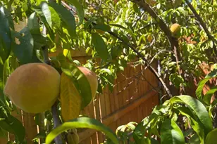 902 N 14th St, Cottonwood, AZ 86326 - Photo 74