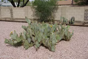 11643 S Iroquois Dr, Phoenix, AZ 85044 - Photo 30