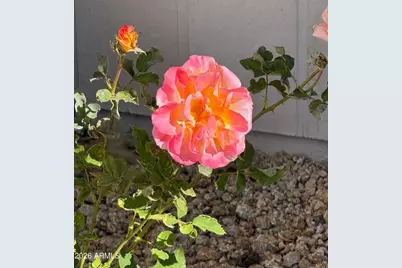 20219 N 125th Avenue, Sun City West, AZ 85375 - Photo 14