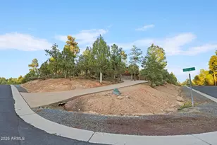 2700 S Marshalls Run, Show Low, AZ 85901 - Photo 36