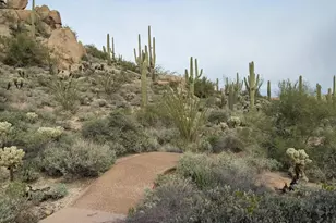 11140 E White Feather Ln, Scottsdale, AZ 85262 - Photo 70