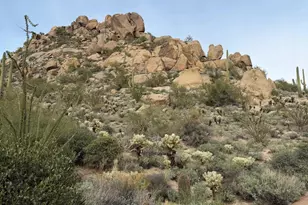 11140 E White Feather Ln, Scottsdale, AZ 85262 - Photo 68