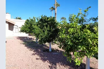 15753 E Mustang Drive, Fountain Hills, AZ 85268 - Photo 12