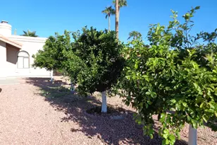 15753 E Mustang Dr, Fountain Hills, AZ 85268 - Photo 12