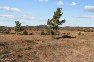 41Ac Sickles Ranch Rd, Peeples Valley, AZ 86332 - Photo 1