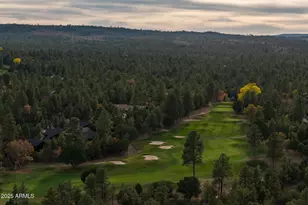 4240 W Sugar Pine Loop, Show Low, AZ 85901 - Photo 76