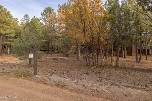 4240 W Sugar Pine Loop, Show Low, AZ 85901 - Photo 60