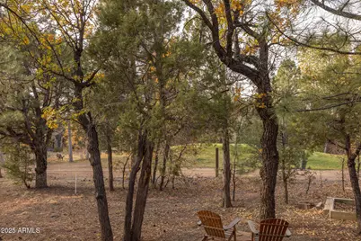 4240 W Sugar Pine Loop, Show Low, AZ 85901 - Photo 68