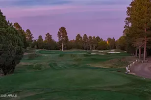 4240 W Sugar Pine Loop, Show Low, AZ 85901 - Photo 2