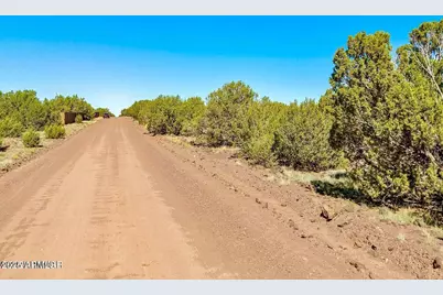 128 Co Rd 8061 1.27 Acres -- #-, Concho, AZ 85924 - Photo 6