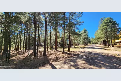 1958 Ferret Circle #260, Forest Lakes, AZ 85931 - Photo 6
