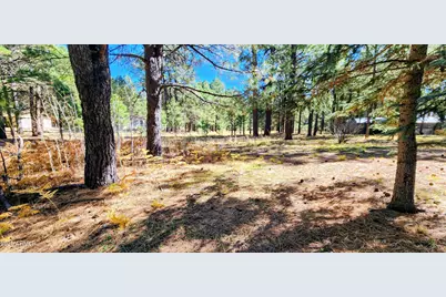 1958 Ferret Circle #260, Forest Lakes, AZ 85931 - Photo 2