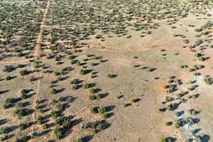 Tbd County Rd N5504 --, Concho, AZ 85924 - Photo 1