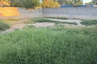 1145 E Eva St, Phoenix, AZ 85020 - Photo 6