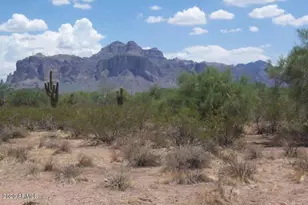 1624 E Concho St, Apache Junction, AZ 85119 - Photo 1