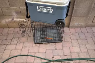 6606 West Polk St, Phoenix, AZ 85043 - Photo 12