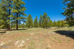 150 E Flat Rock Ridge, Flagstaff, AZ 86001 - Photo 64