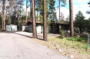 8688 W Lufkin Dr, Pine, AZ 85544 - Photo 4