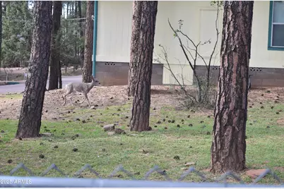 8688 W Lufkin Drive, Pine, AZ 85544 - Photo 24