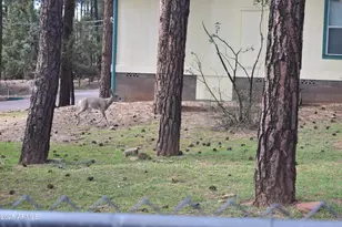 8688 W Lufkin Dr, Pine, AZ 85544 - Photo 24