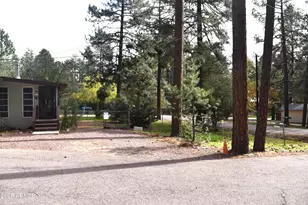 8688 W Lufkin Dr, Pine, AZ 85544 - Photo 30