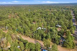 2887 Center Rd, Overgaard, AZ 85933 - Photo 26