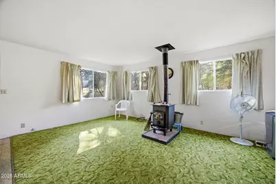 2887 Center Road, Overgaard, AZ 85933 - Photo 8